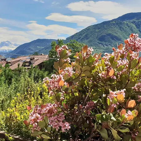 Domus Rose Bolzano